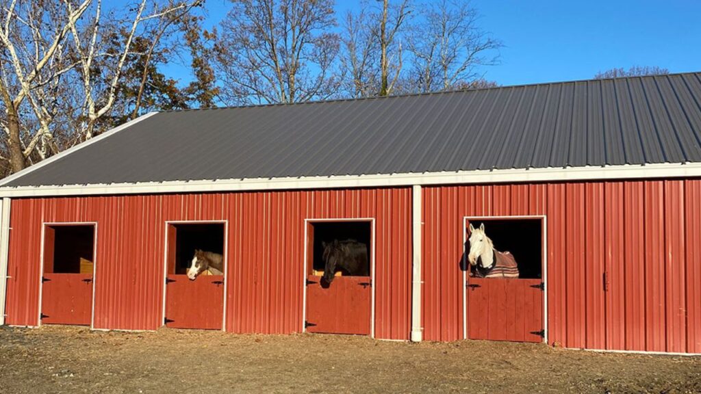 Metal Building For Horses
